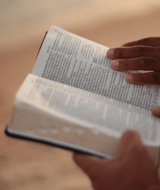 Open Bible