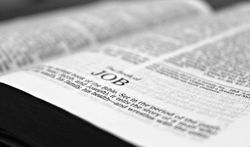 Bible opened to Job